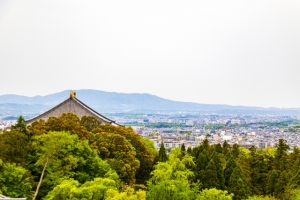 桜井市大字和田の土地情報と暮らし