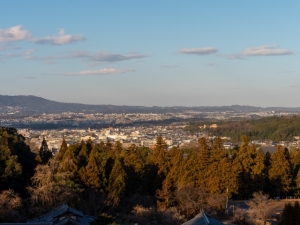 香芝市本町の最新土地相場情報とタウン情報