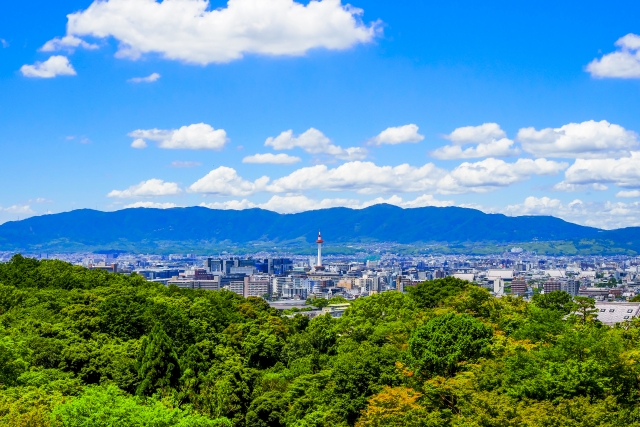 京田辺市草内美泥のメイン画像