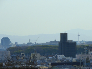 相楽郡精華町狛田一丁目の土地最新販売事例情報や町のご紹介