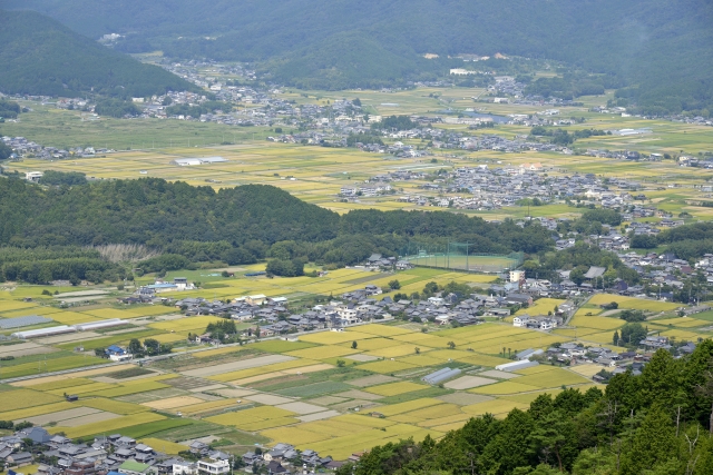 京田辺市松井ケ丘四丁目のメイン画像