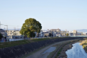 交野市郡津一丁目の土地最新販売事例と暮らしお役立ち情報